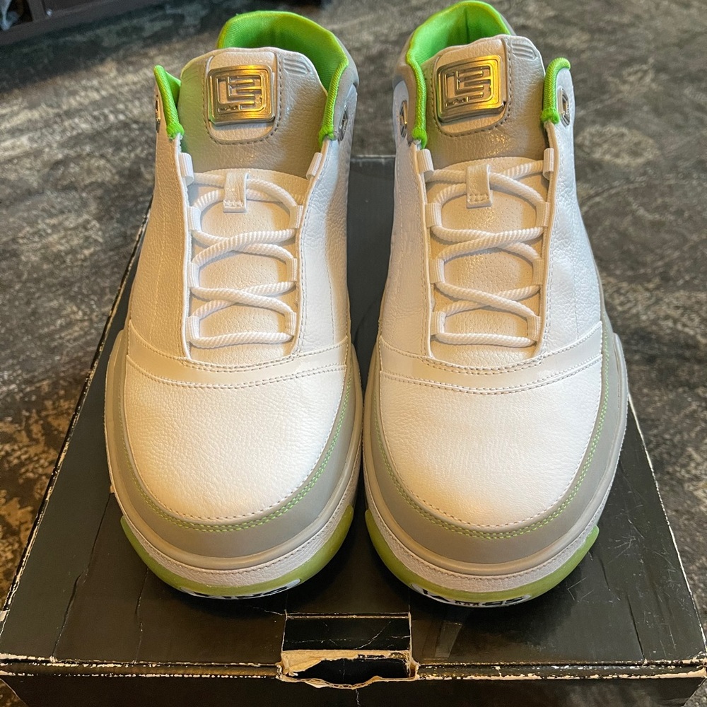 Nike Lebron Zoom Low